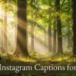 350+ Best Instagram Captions For Trees