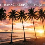408+ Palm Trees Captions For Instagram