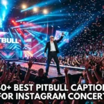 440+ Best Pitbull Captions For Instagram Concert