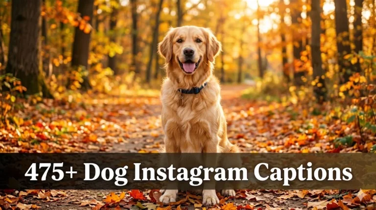 475+ Dog Instagram Captions